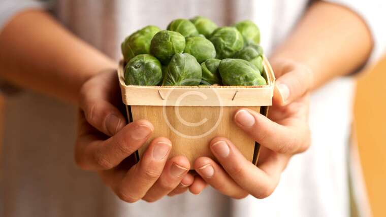 Exactly How To Get All The Protein You Need On A Plant-Based Diet